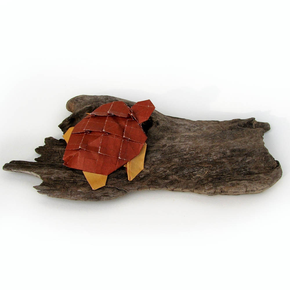 Wematin, River Turtle by Paper Disciple