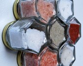 Charity WORLD SALTS. Gourmet magnetic spice kit and micro loan (Gift Set filled with natural salts). Free Shipping.