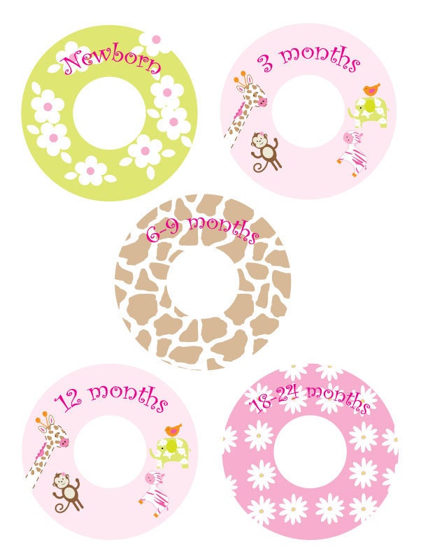Custom Closet Dividers  -  JUNGLE JILL