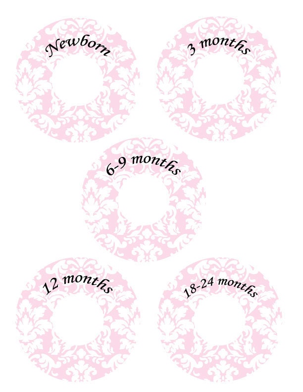 Custom Closet Dividers - BELLE