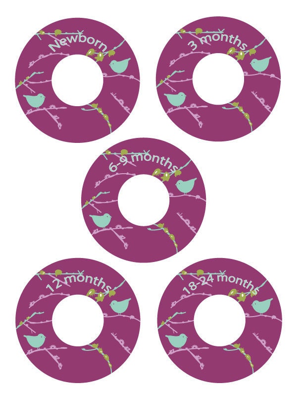Custom Closet Dividers - BIRDS ON A BRANCH