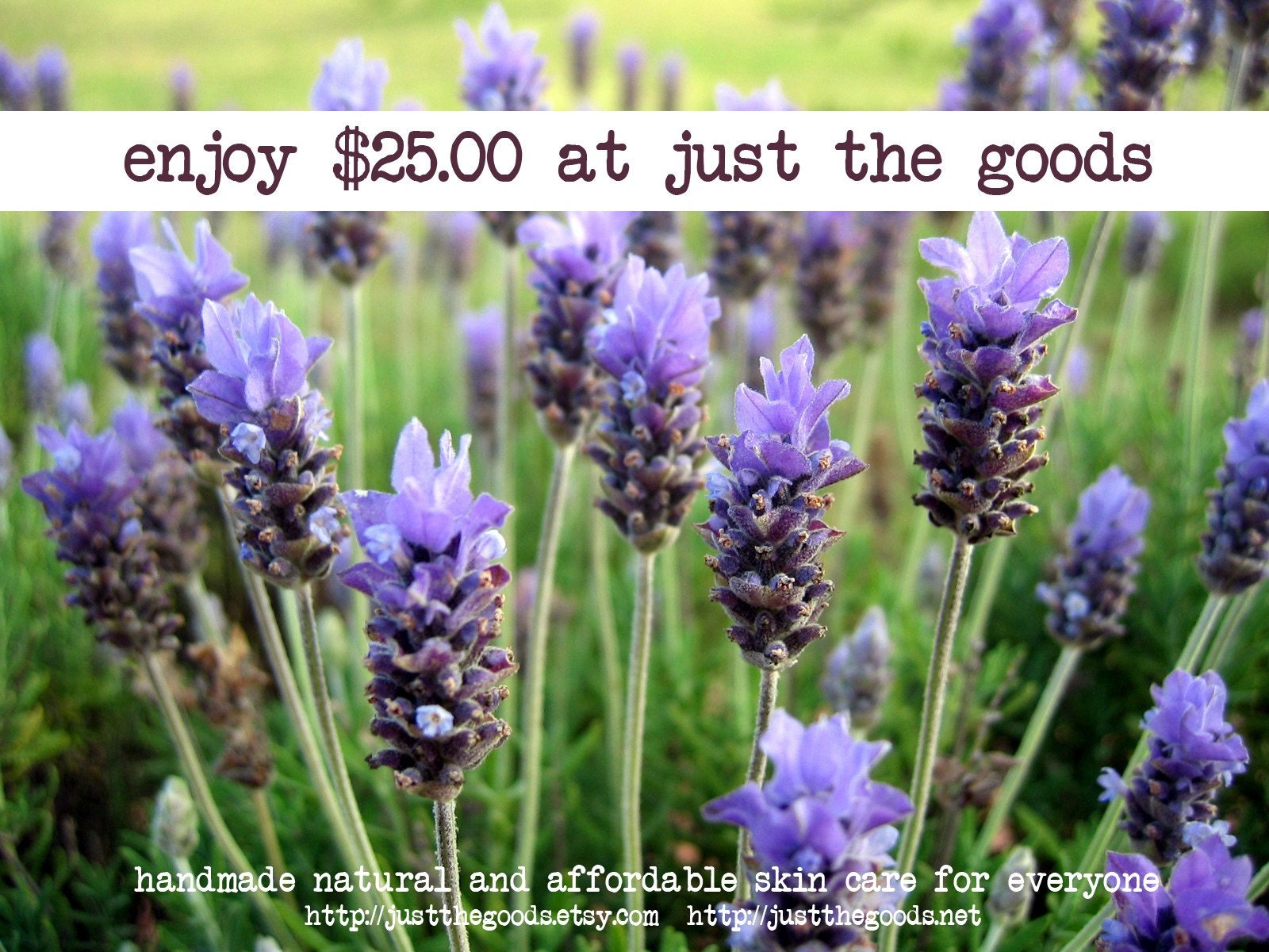 25.00 Gift Certificate for Just the Goods