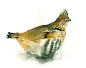 GROUSE Original watercolor painting 10x8inch