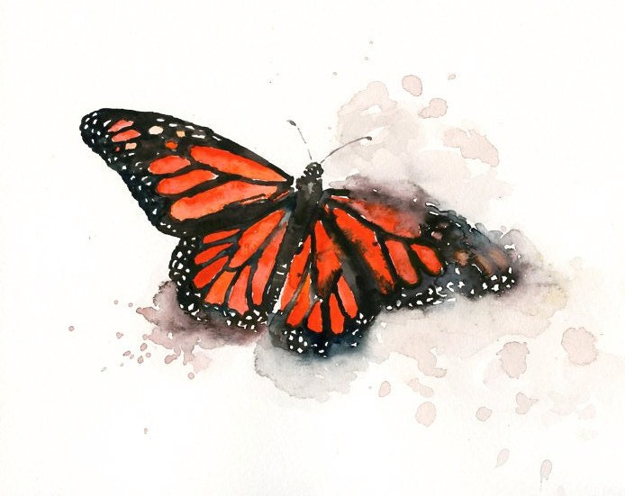 MONARCH BUTTERFLY by DIMDI Original watercolor painting 10X8inch