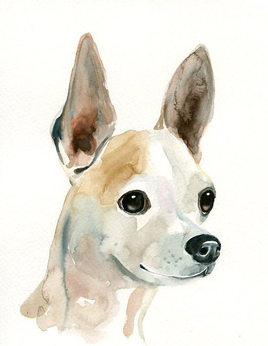 CUSTOM of your PET by DIMDI Original watercolor painting 8X10inchxxxxAll the animals that you wantxxxx