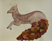 Naturalists Sketchbook Leaf Tail Antelope