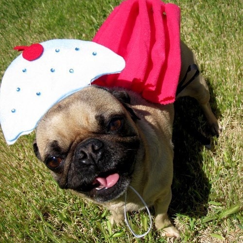 Halloween Cupcake Dog Costume - CUPCAKE costume for pet size small/med