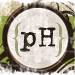 PoeticHome