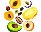 Stone Fruit - Print -