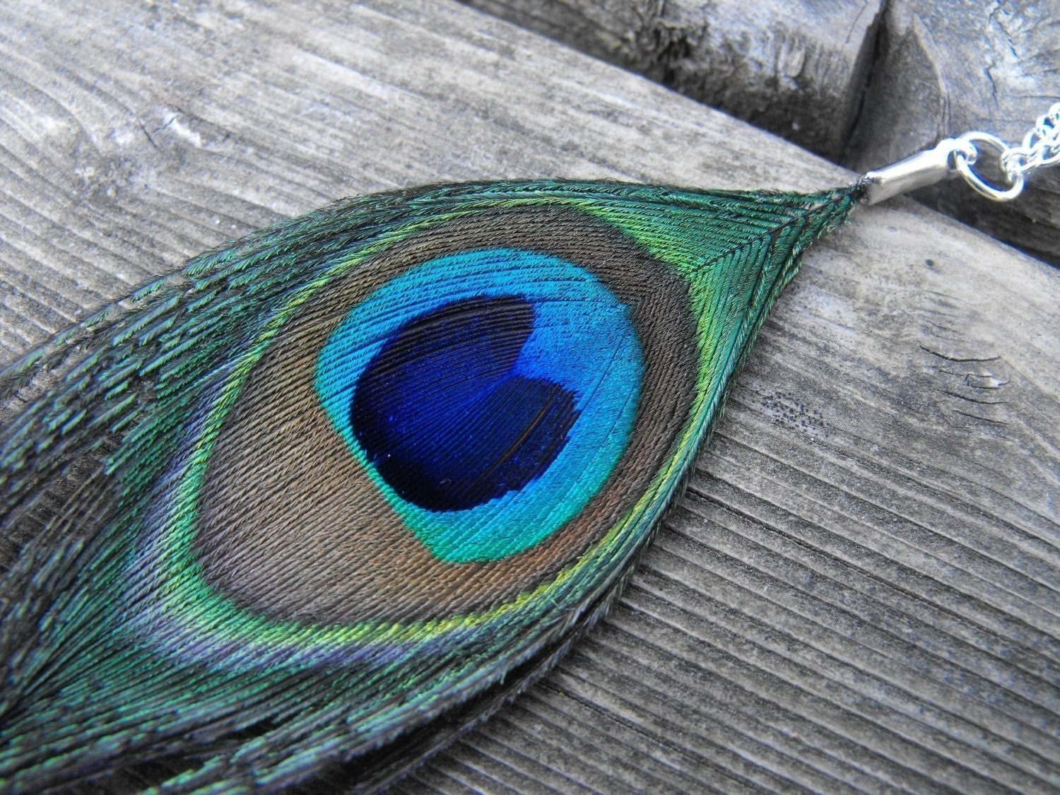 Peacock Feather Necklace