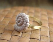 Nautilus Button Ring - Just For Fun - Made to Order - Any Size
