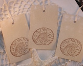 Nautilus Shell Tags Vintage Inspired Set of 10
