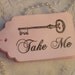 8 Hand Dyed Alice in Wonderland Take Me Tags