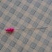 triple pearl Marie Antoinette straight pins -- hot pink