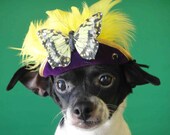 Hat for dog or cat with a  butterfly