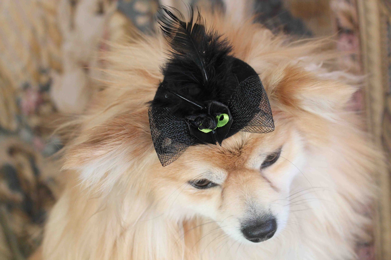Cute black   color  mini  hat with   feather and   flowers for dog or cat