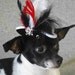 Pirate hat for dog or cat