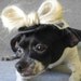 Lady Gaga hat for dogs or cats
