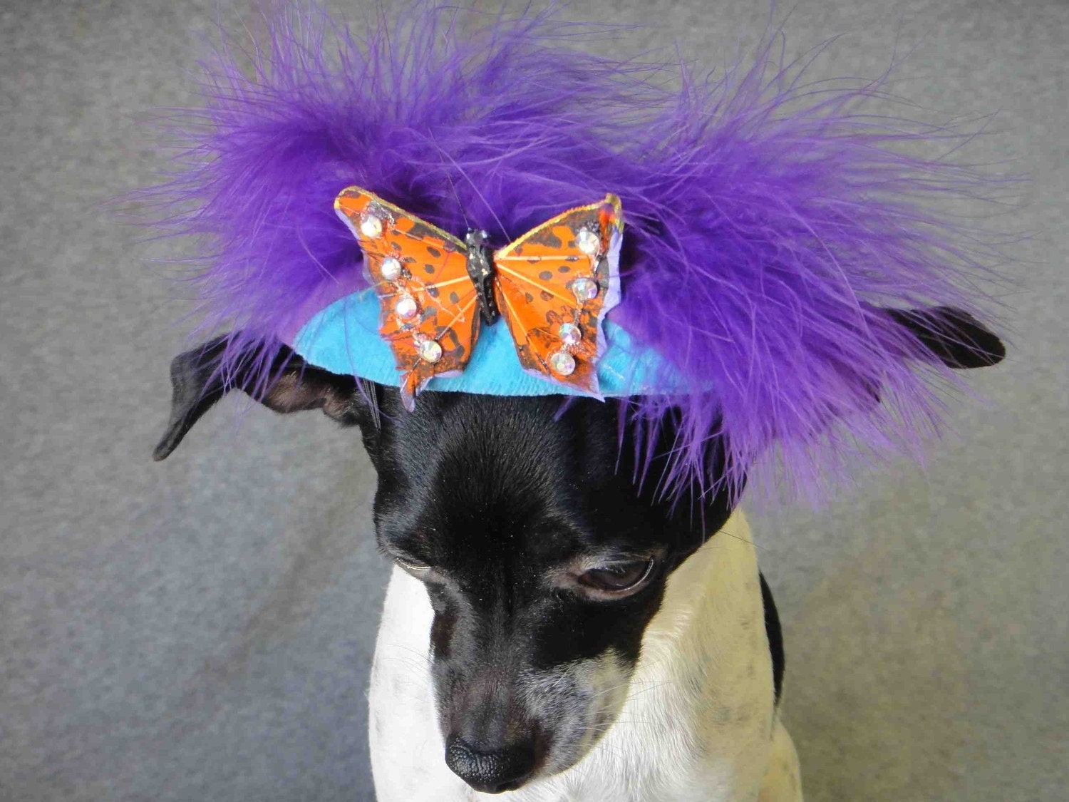 Cute hat with butterfly and swarovski crystals