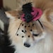 Cute  hot pink  color  mini  hat with   feather and   flowers for dog or cat