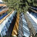 Christmas Tree Skirt - OOAK - Blues and Golds