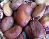 Rita's Mojo Beans - Hoodoo, Pagan, Magic - Good Luck Wishing Beans