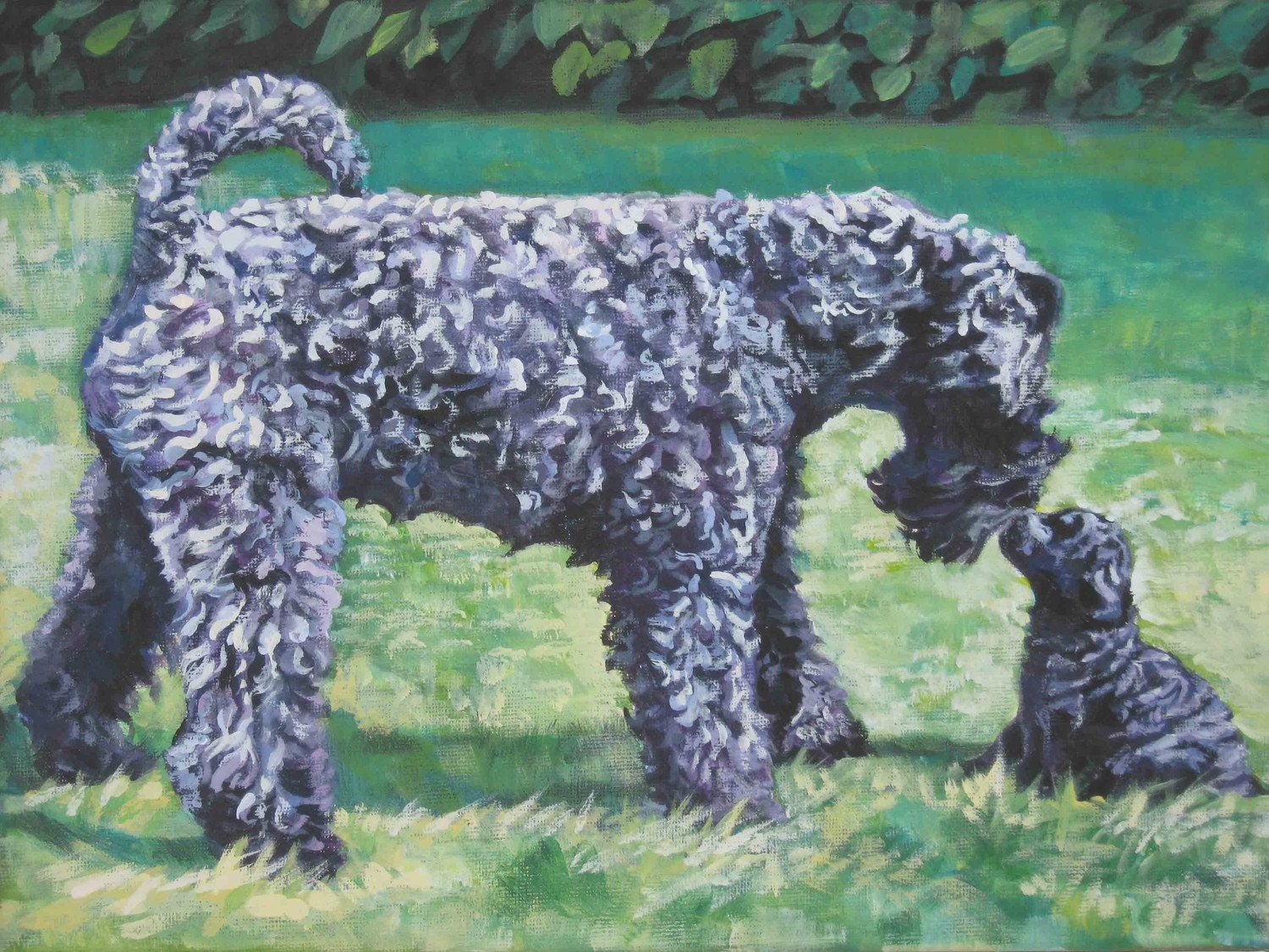 Kerry BlueTerrier art print CANVAS print of LA Shepard painting 12x16