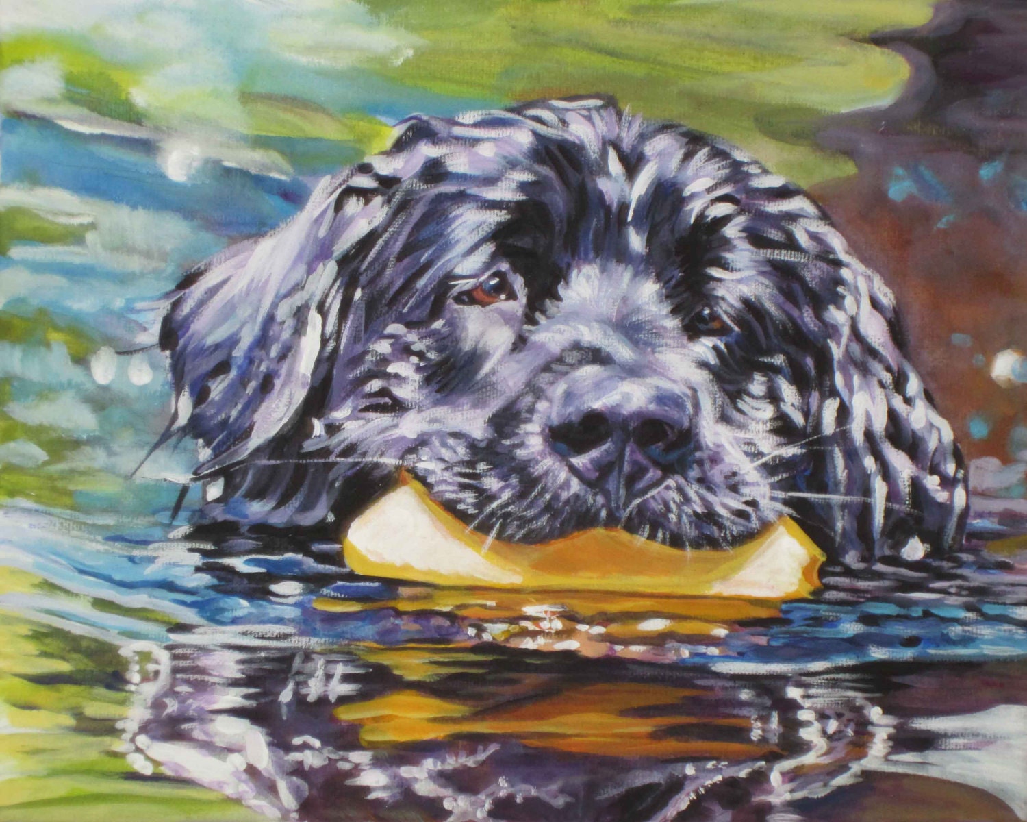 Newfoundland art print CANVAS print of LA Shepard painting 8x10 dog art