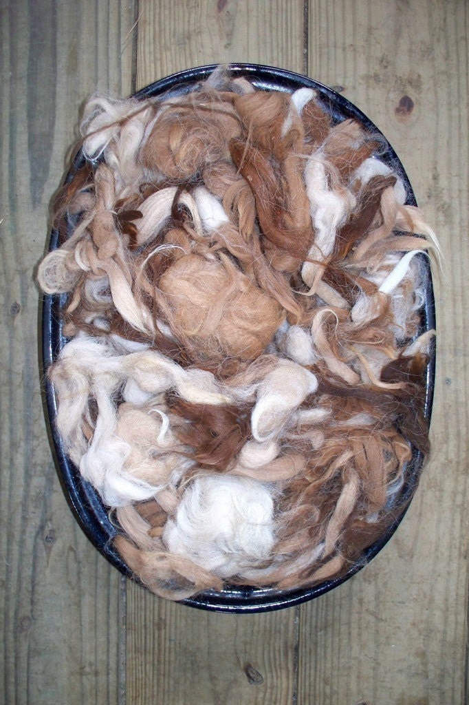Alpaca Fiber Seconds, 16 Ounces, Multi-Colored