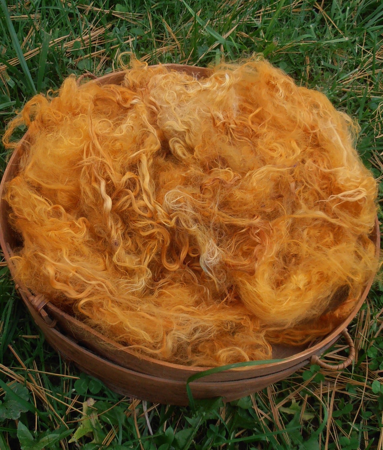 Suri Alpaca Fiber, 6", Hand-Dyed, Nutmeg, 2 ounces, Ariella