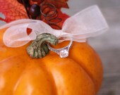 Harvest Fall Wedding Pumpkin Ring Bearer Pillow Woodland Rustic Western Outdoor Garden CHIC