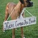 Rustic Chic Weddings Old Barn Wood Hand Painted Here Comes The Bride Sign For Dog Pet Photo Prop