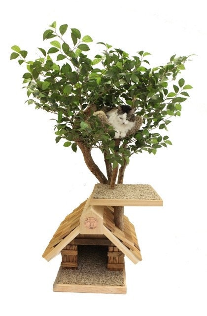 Sapling (small) Cat Tree House