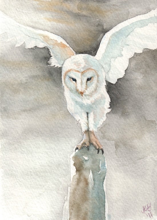 Out of the Dark -  Barn Owl - Print of Original Watercolor