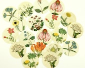 Envelope Seals Stickers Wildflowers SES89