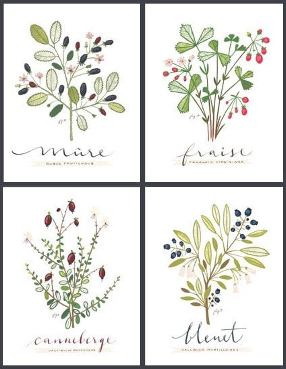 4 PETITS FRUITS - FRENCH -Culinary Art- Collection