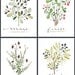 4 PETITS FRUITS - FRENCH -Culinary Art- Collection