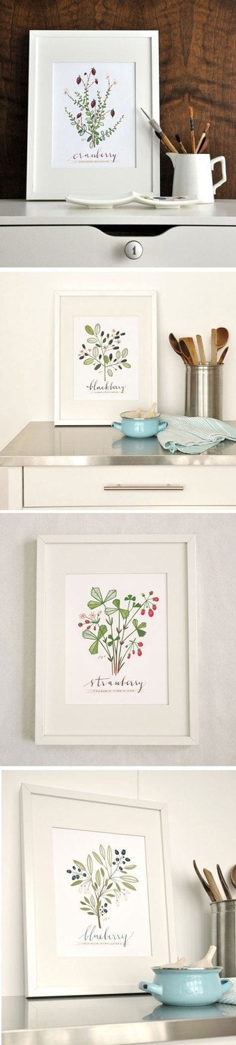 4 BERRIES SET -Culinary Art- Collection