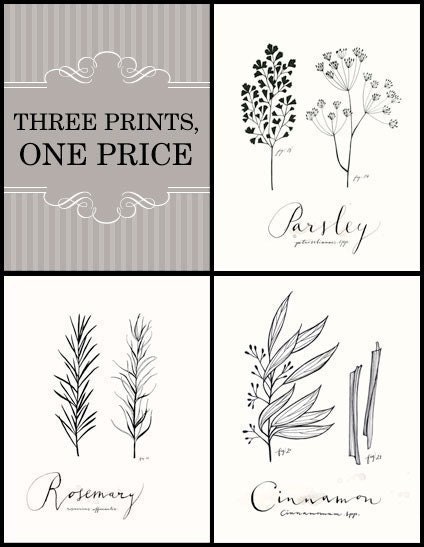 Three HERBS set -Culinary Art- Collection