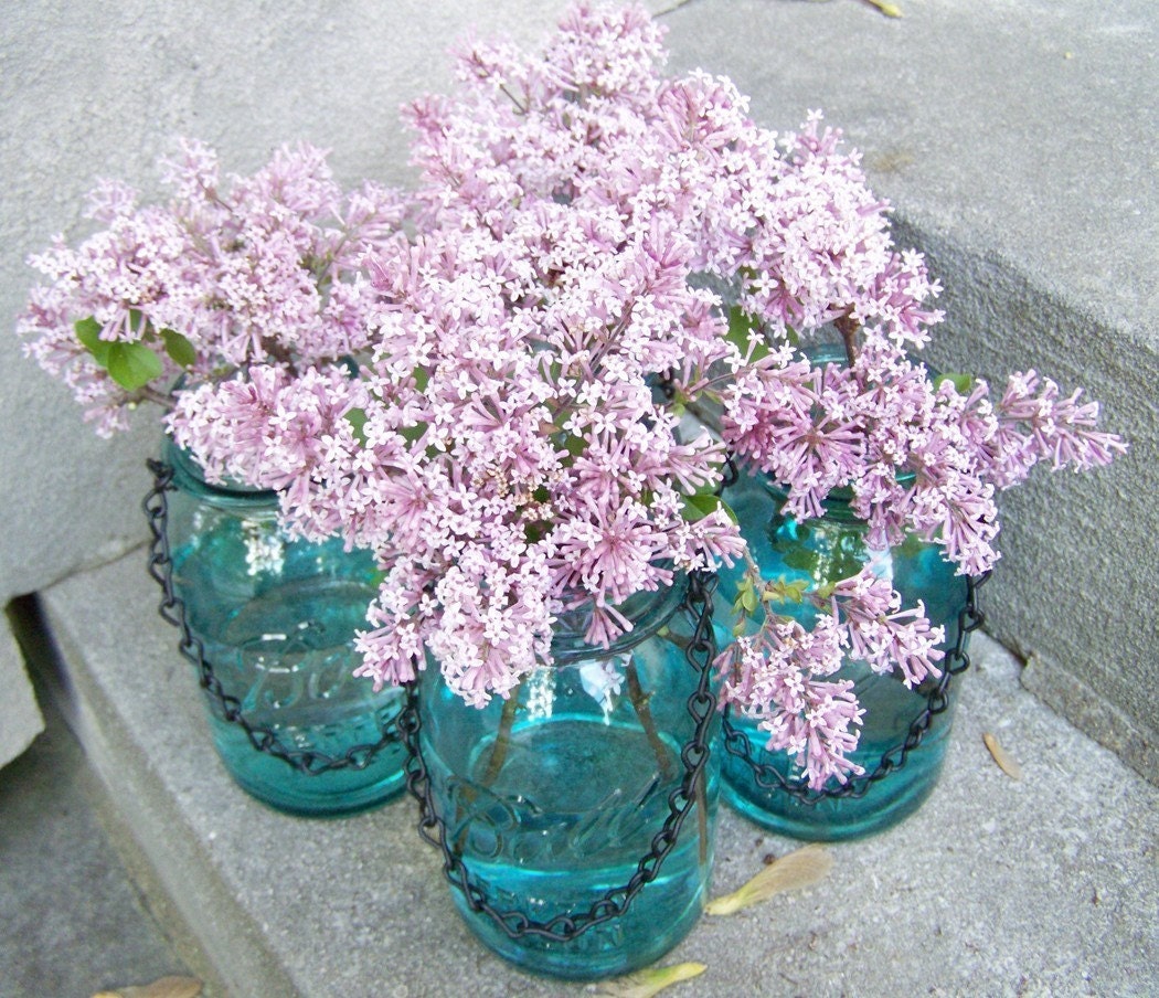 Bulk Discount Set of 4 Hanging Mason Jar Outdoor or Indoor Lanterns, Lights, or Hanging Vases for your wedding decor