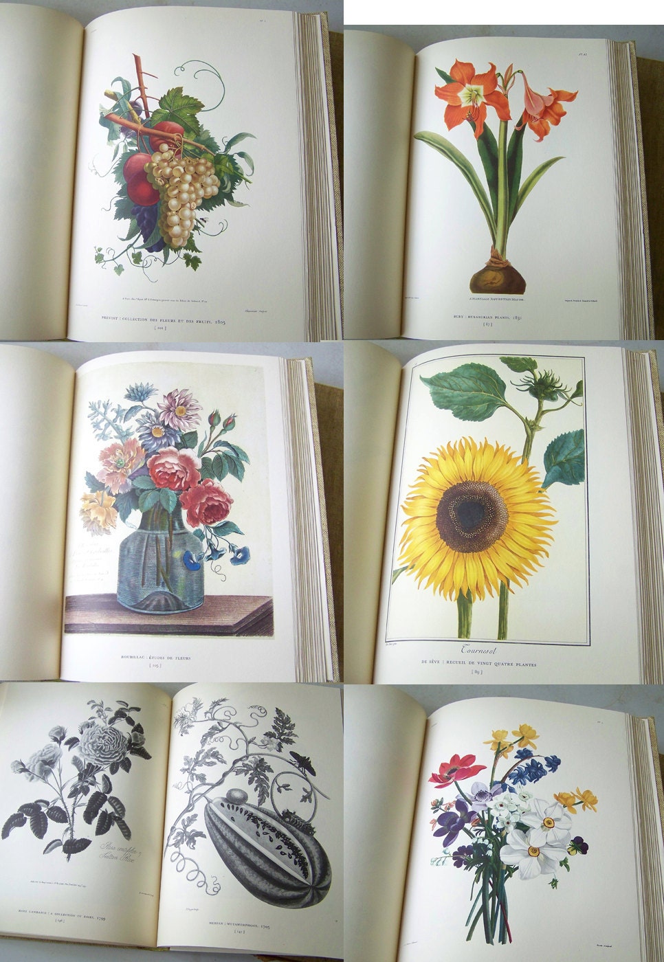 79 Flower and Fruit Prints of the 18th and Early 19th Centuries, Their History, Makers and Uses, by Gordon Dunthorne, first edition