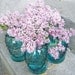 Bulk Discount Set of 4 Hanging Mason Jar Outdoor or Indoor Lanterns, Lights, or Hanging Vases for your wedding decor
