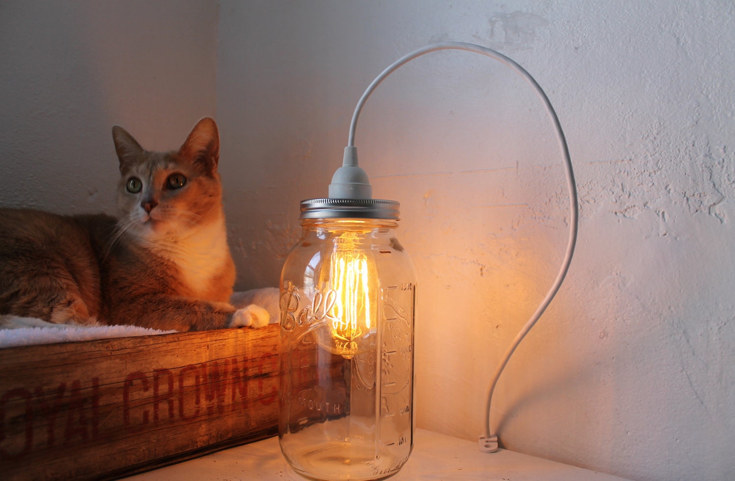 Summer Sun Mason Jar Light - Half Gallon Ball Mason Jar Pendant Table Top Light - Dual Purpose UpCycled BootsNGus Lighting Fixture