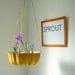Spring Splendor Summer Squash Yellow Hanging Fresh Fruit - Vegetables - Decrotive Basket - Planter - UpCycled ReCycled Tin Bundt Cake Pan - April Showers - May Flowers