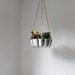 Shining Silver - UpCycled Bundt Cake Planter - Industrial Modern Reclaimed BootsNGus Hanging Flower Pot