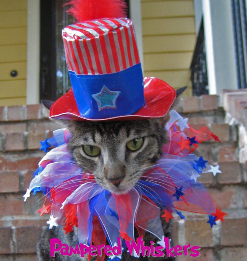 Uncle Sam cat top hat and party collar for cats and dogs