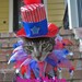 Uncle Sam cat top hat and party collar for cats and dogs