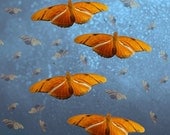 Surreal Home Decor, 20x20 Fine Art Print, Orange Butterflies, Sparkly Blue - TheShutterbugEye