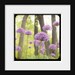 Spring Home Decor, FIne Art Photography, Nature Photo, TTV Photograph, 8x8 print, Globe Thistle, Purple, Green