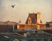 Paris Photo - Paris Dawn, Hotel de Ville - Rooftops of Paris, France in Morning Sun with Birds, Fine Art Travel Photograph